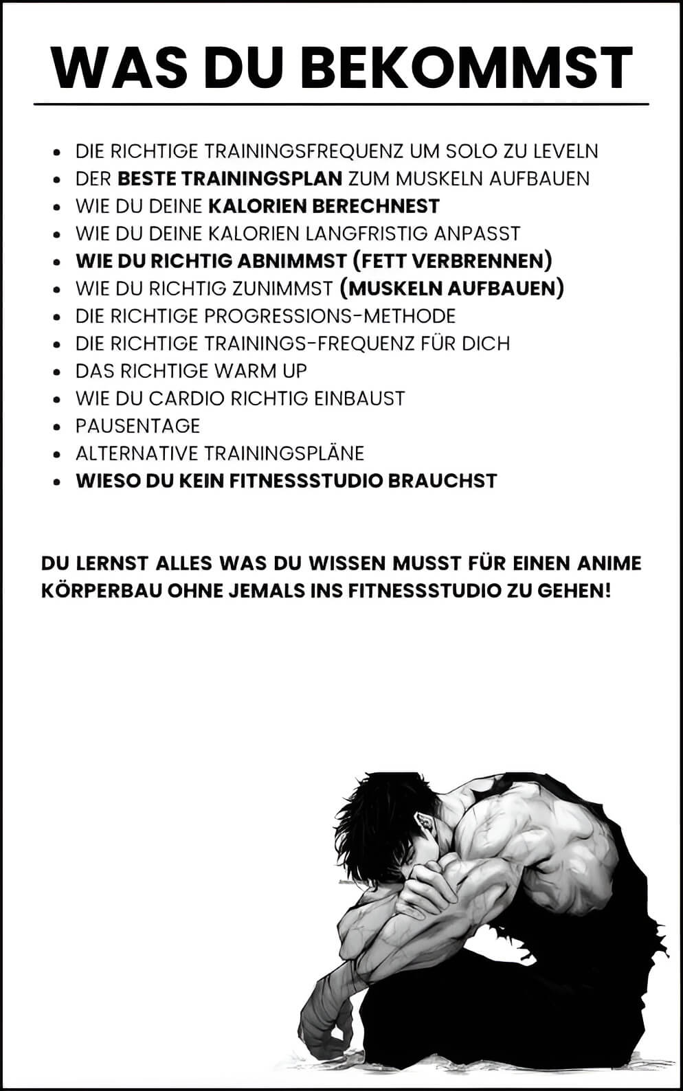 LEVEL DICH SOLO - erreiche einen Anime Körperbau ohne Gym
